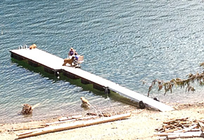 Timber Frame Docks